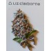 Винтажная брошь «Гиацинт» от Liz Claiborne